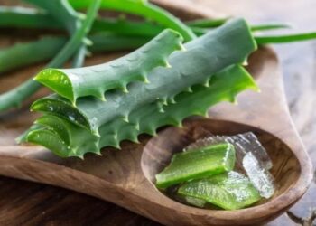 hello telugu - aloe vera interesting Benefits