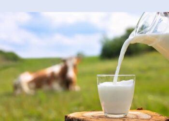 Hello Telugu - Drinking Milk Interesting Uses