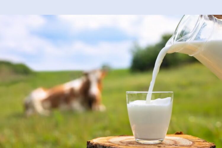 Hello Telugu - Drinking Milk Interesting Uses