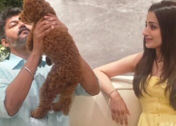 Hello Telugu - Beauty Trisha Krishnan