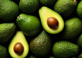 Hello Telugu - Avocado Interesting Benefits