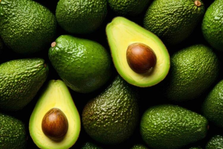 Hello Telugu - Avocado Interesting Benefits