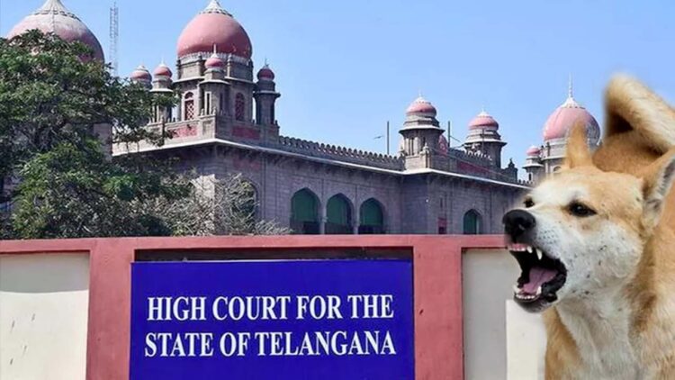 Hello Telugu - TG High Court Shocking Comments